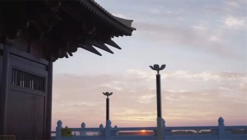 图片_20260607004518.jpg