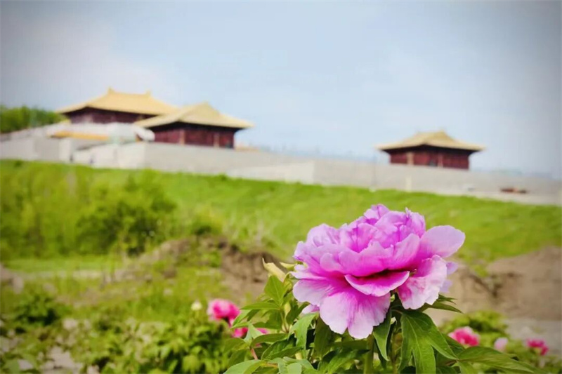 图片_20260607004637.jpg