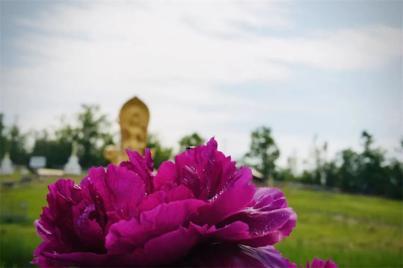 图片_20260607004642.jpg